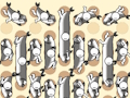 Juego Recolección de peces  en línea