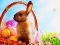 Juego Tiempo de Pascua Estrellas Ocultas  en línea