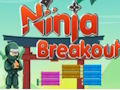 Juego Fuga ninja  en línea