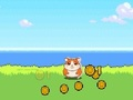 Juego Clicker de combate de hámster  en línea