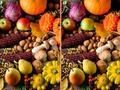 Juego ¿Cual es la diferencia?  en línea