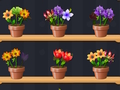 Juego Buen maestro de las flores  en línea
