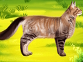 Juego Gato mascota doctor dentista  en línea