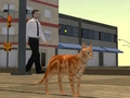 Juego Simulador de ciudad de gato  en línea