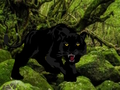 Juego Escape del Bosque de las Panteras Negras  en línea