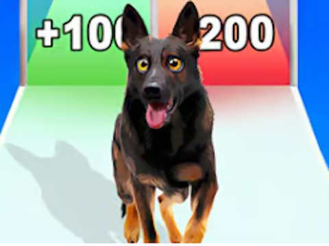 Juego Carrera de evolución del perro  en línea