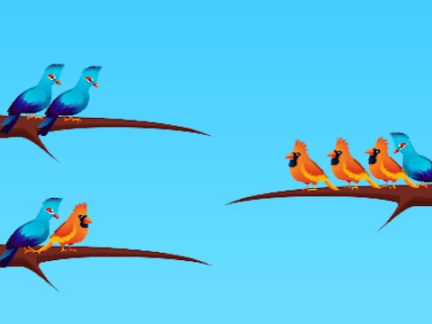 Juego Clasificación de aves  en línea