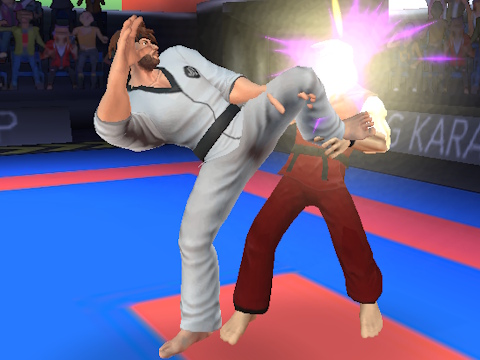 Juego Luchador de kárate  en línea