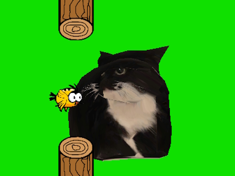 Juego Flappy Bird Spinning Oia Oia Cat en línea