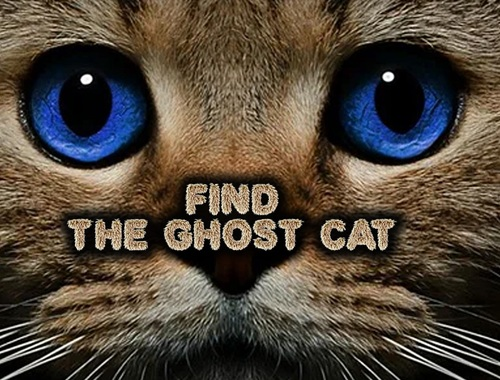 Juego Encuentra el gato fantasma  en línea