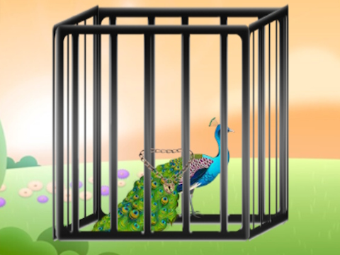 Juego Rescate el pavo real radiante  en línea