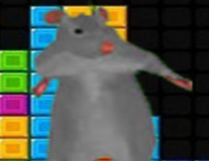 Juego Bloques de caída de Ratomilton  en línea