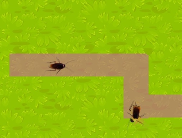 Juego Trituradora de insectos  en línea