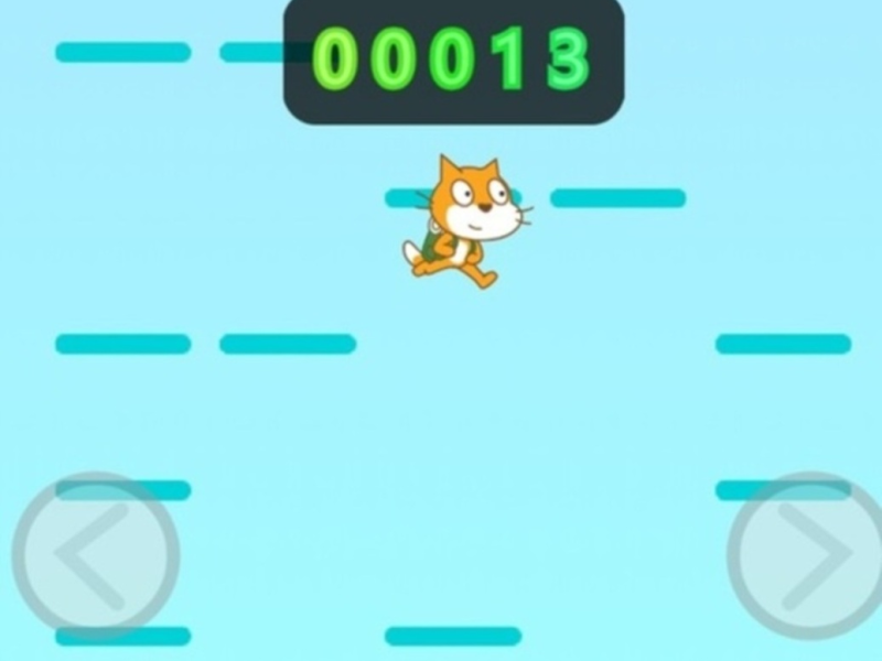 Juego Gato de jersey  en línea