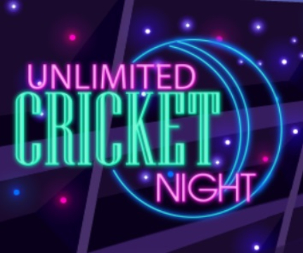 Juego Noche de cricket ilimitada  en línea
