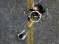Juego Undead Highway en línea