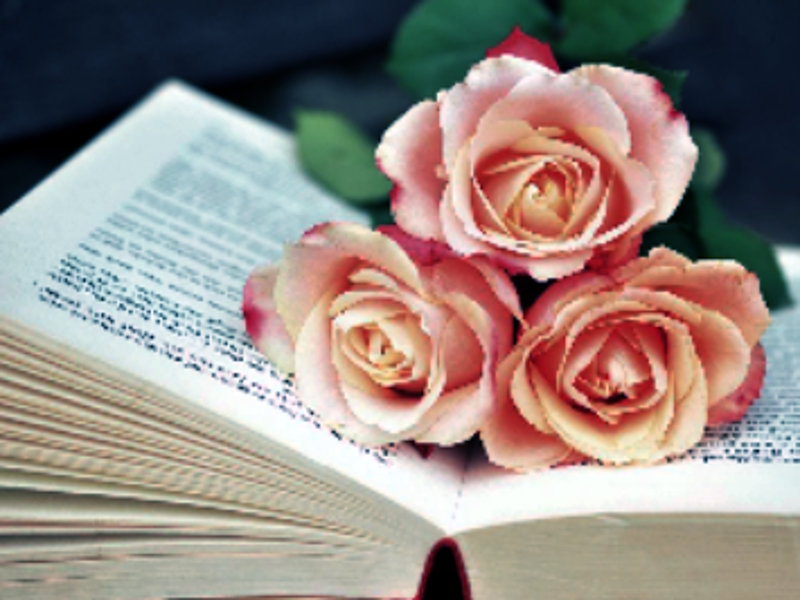 Juego Libro de Blooms Jigsaw en línea